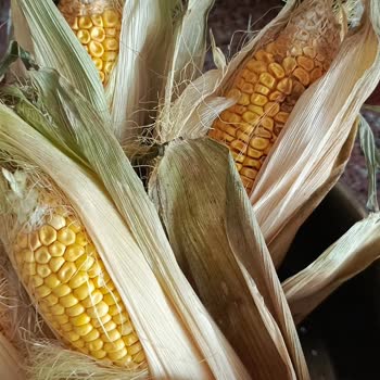 Şok Market Alışverişinde Yaşanan Olumsuz Deneyim