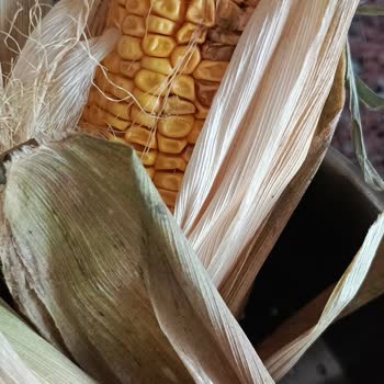 Şok Market Alışverişinde Yaşanan Olumsuz Deneyim