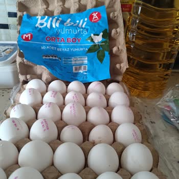BİM Bili Bili Yumurta