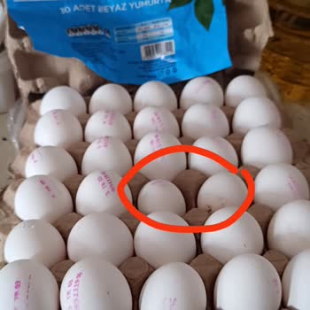 BİM Bili Bili Yumurta