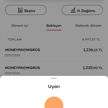 Migros Bilgim Dışında Yapılan Alışveriş...