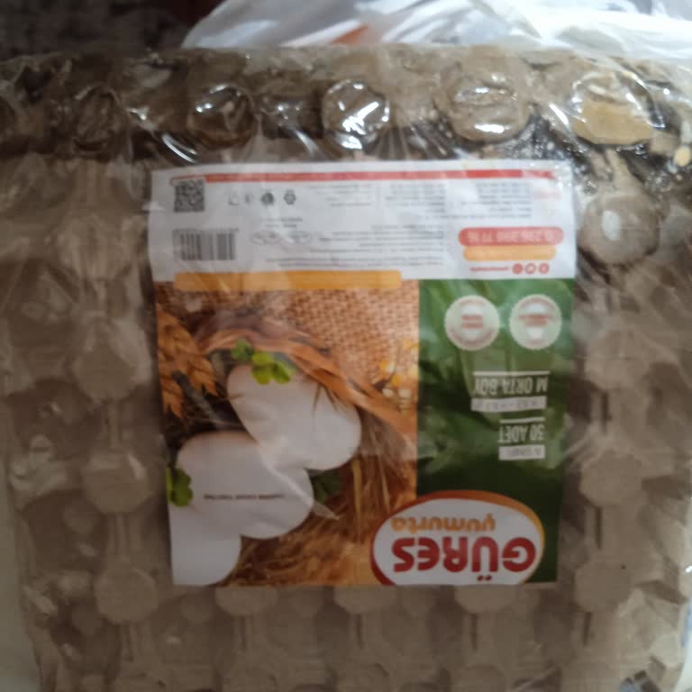 Migros Kırık Yumurtalar Ve Eksik Ürün Telafi Edilmedi.