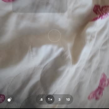 Samsung Telefon S22 De Dikdörtgen Şeklinde Gölge