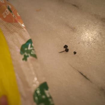 Kellogg's Coco Pops Çikolatalı Mısır Ve Buğday Gevreği