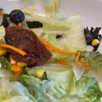 Tavuk Dünyası Siparişimde Salatamdan Sinek Çıktı
