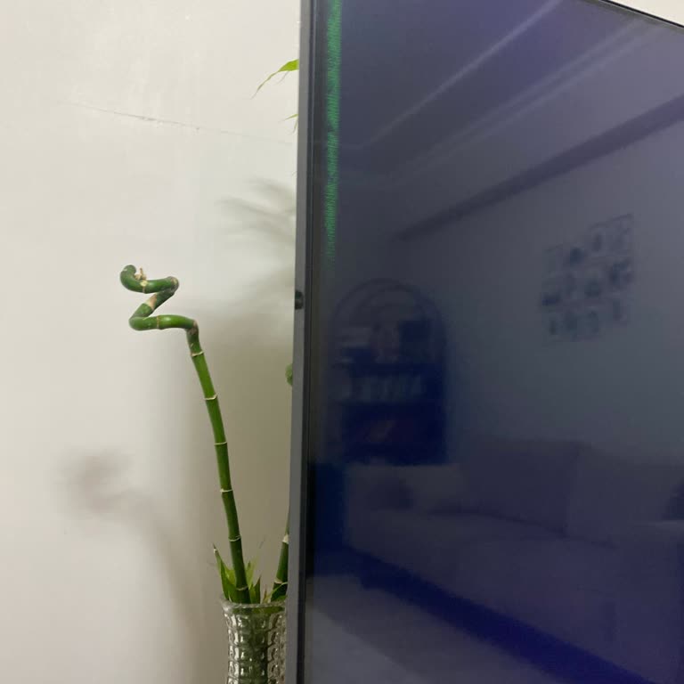 Samsung UE50TU8000U TV Kronik Ekran Arızası.