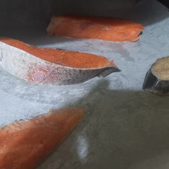 BİM Market Ve Dondurulmuş Balık Ürünleri Hakkında