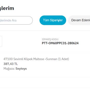 Epttavm Seytoys Mağazası 10 Gün Oldu Hala Ürünü Kargoya Vermedi