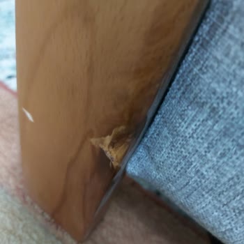 Trend Home Teslimat Ve Kurulum Problemi