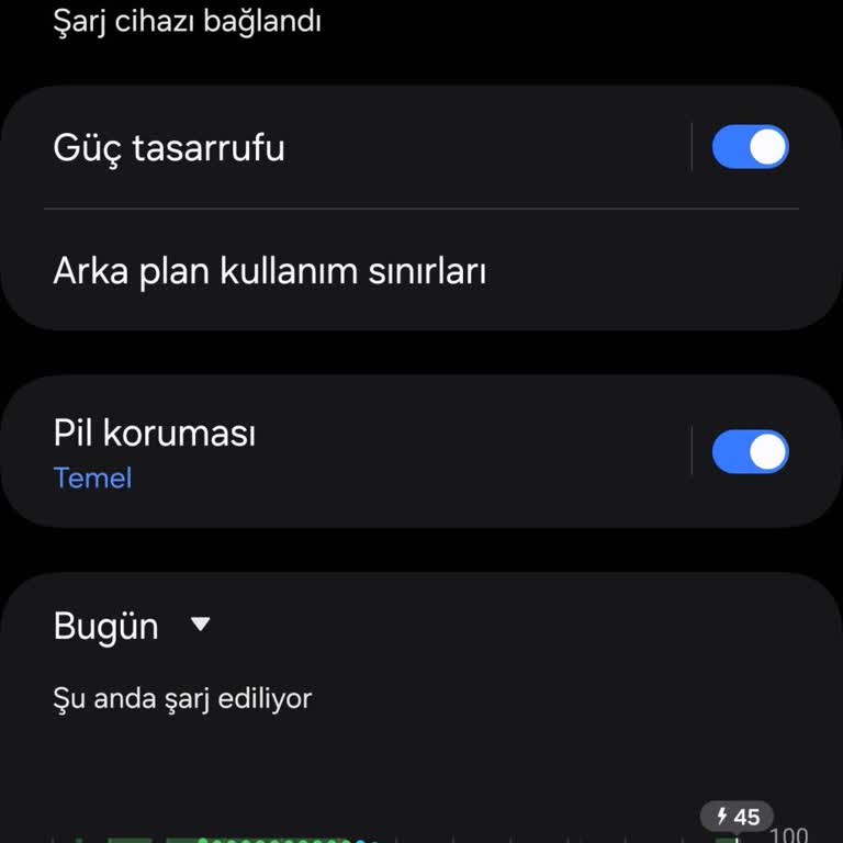 Samsung Telefon Hızlı Şarj Problemi