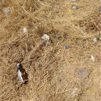 Pendik Belediyesi Pendik Yenişehir Mahallesi'nde Yaşam Kalitesi Sorunları