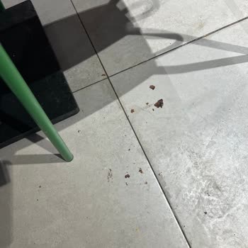 Bağdat Caddesi Burger King Pis Ve İlgisiz Hijyen 0