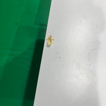 Bağdat Caddesi Burger King Pis Ve İlgisiz Hijyen 0