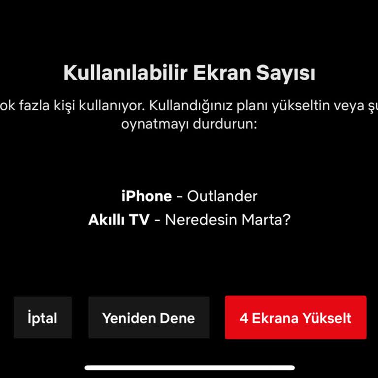 Netflix Saçmalığı Parayı Ödeyen Benim Ana Hesap Kavramınız Yok Mu.!