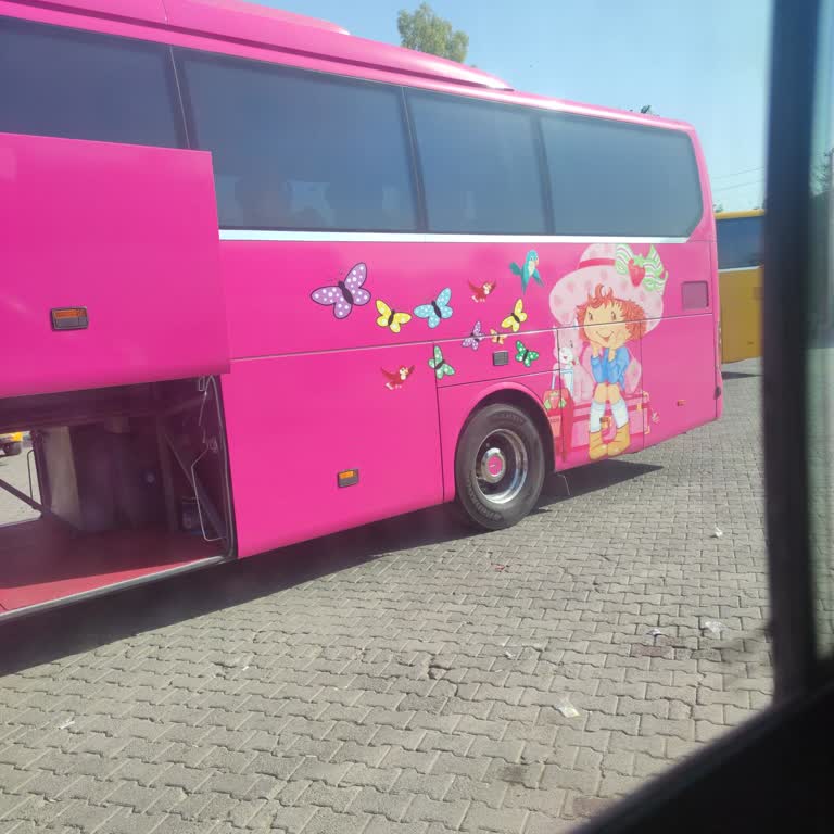 Özlem Mardin Vif Otobüs Firması Hizmet Şikayeti