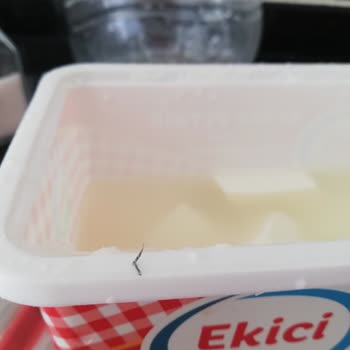 Ekici Peynir Ekici Tam Yağlı Beyaz Peynir