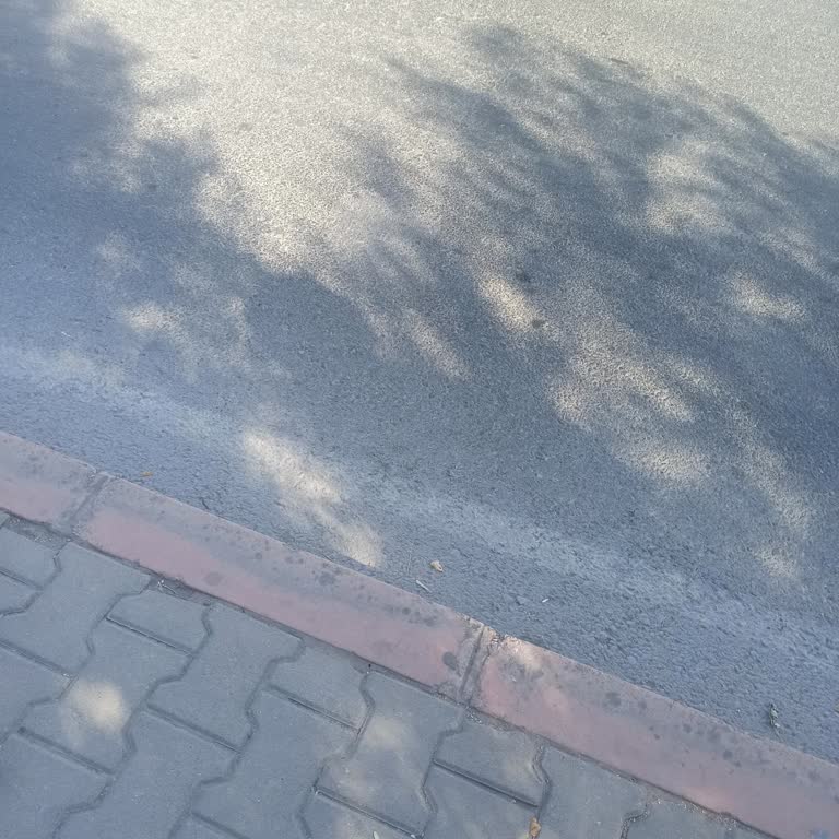 Kurdali Koop Kurdaki Koop Dolmuşçularının Yalanları