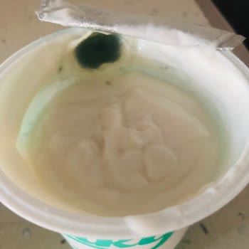 Getir Nilky Yoğurdu Küflü Çıktı