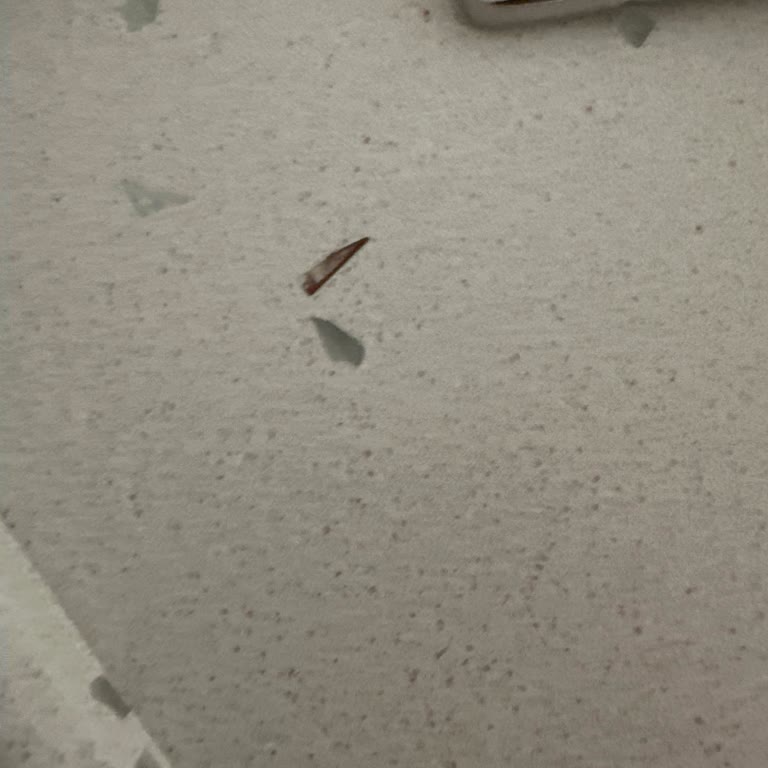 Vitra Karo Eczacıbaşı Vitra Klozet Sorunsalı