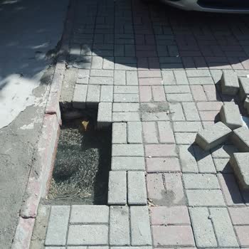 İBB - İstanbul Büyükşehir Belediyesi İSKİ Patlak Su Boruları Sorunu
