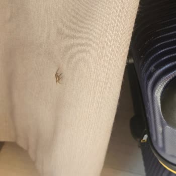 Etstur Otellerini Takip Et