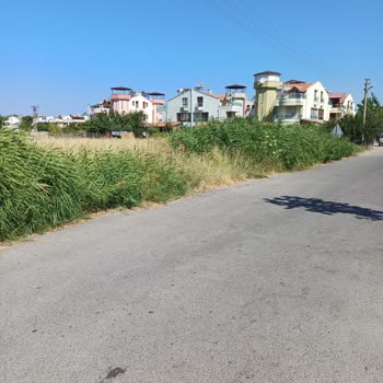 İzmir Dikili Belediyesi Çöp, İlaçlama Ve Dağ Gibi Otlar.