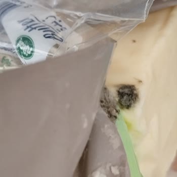 Sütaş Paketi Açtığımda Küflenmiş Tereyağı Şoku