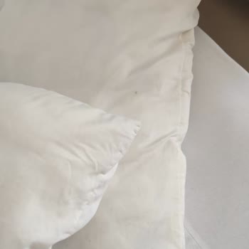Jolly Tura Bizi Mağdur Etti