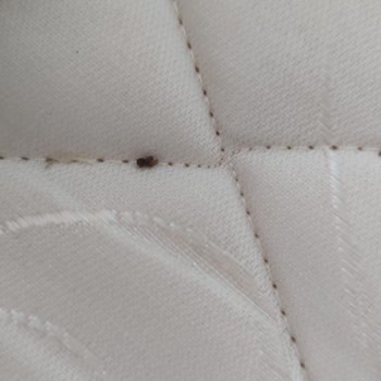 Jolly Tura Bizi Mağdur Etti