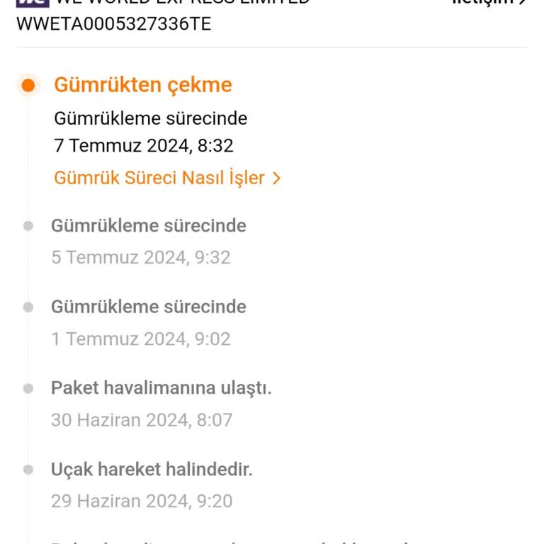 Temu 13 Gündür Gümrükten Çıkmıyor