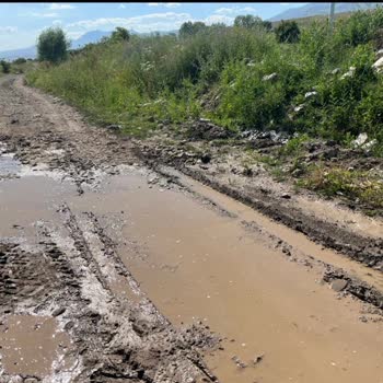 BOTAŞ Anonim Şirketi'nin Zararı Gidermesini Talep Ediyorum
