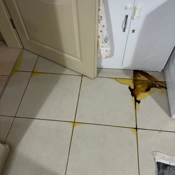 Beko Derin Dondurucu Arızası