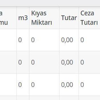 İBB - İstanbul Büyükşehir Belediyesi İSKİ Kullanılmadan Artan Su Faturası Sorunu!