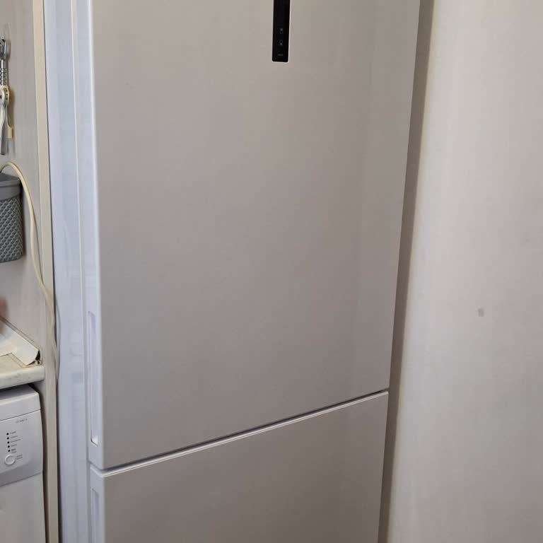 Electrolux LNT7ME46W2 Buzdolabı Ve Pişmanlığım