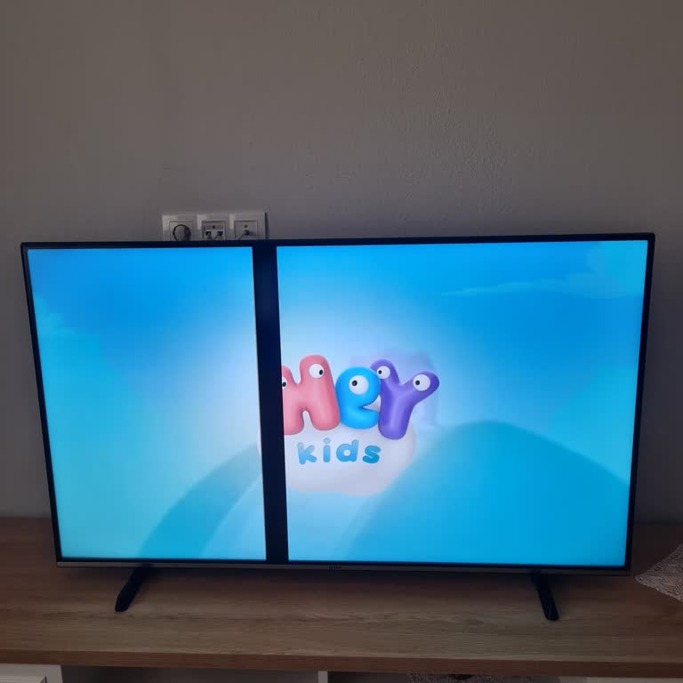 Vestel Panel Arızası Şikayet