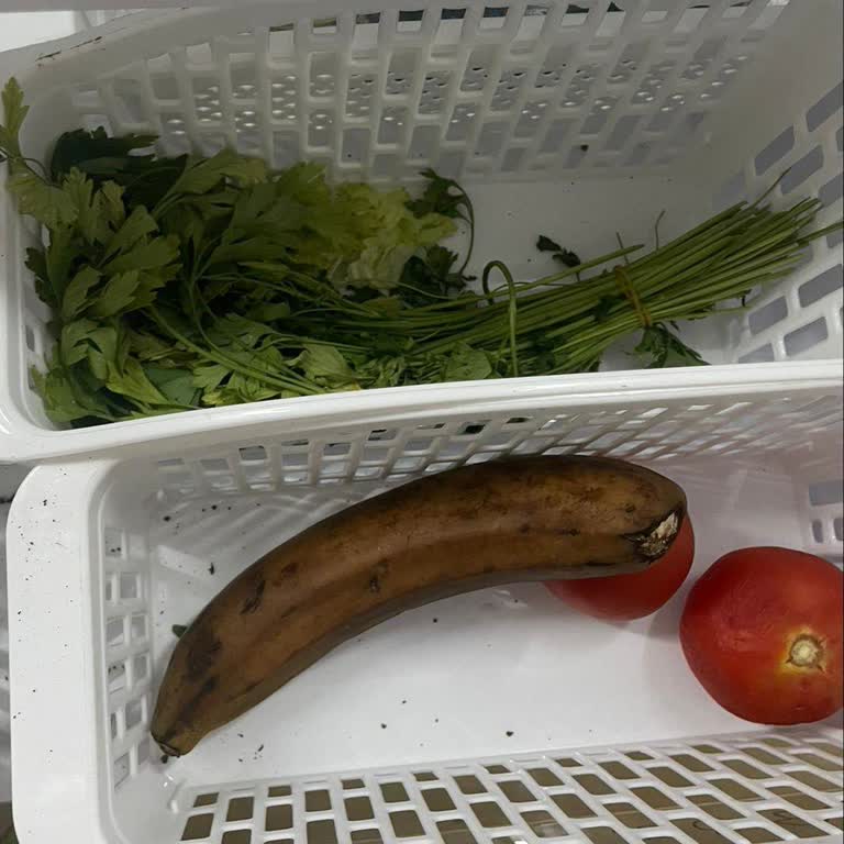 Vestel Buzdolabı Sebzeleri Bozuyor