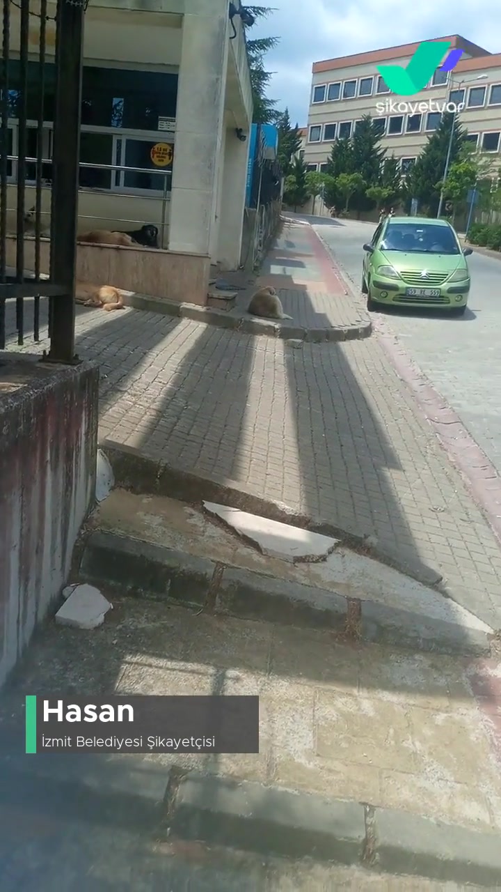 İzmit Belediyesi Kocaeli Üniversitesi Etrafını Köpekler Sardı! videonun kapak resmi