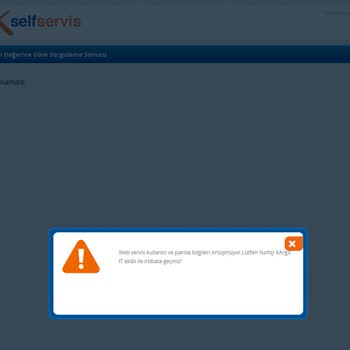 Kosmos Vize Hizmetleri Yurtiçi Kargo Kayıt Bulunamadı Hatası- Kosmos Vize