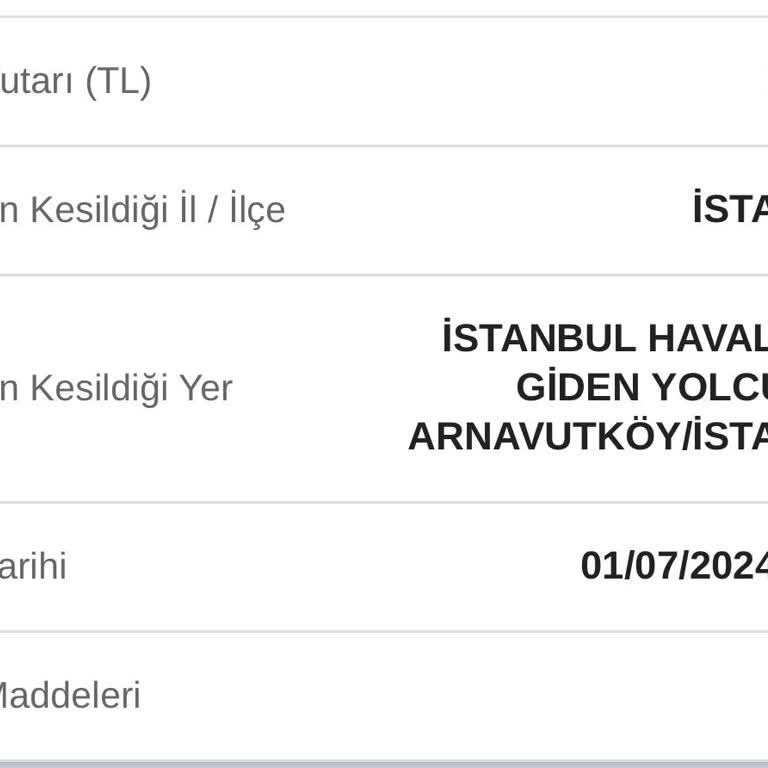 İstanbul Havalimanı Park Cezası Haksızlığı