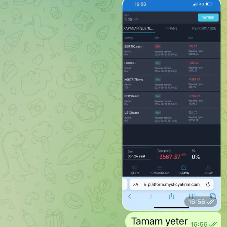 Mystic Yatırım Yatırım Platformunda Yaşanan Büyük Kayıp