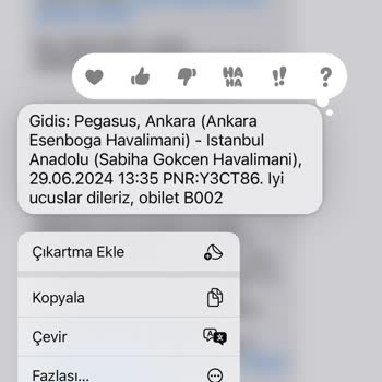 Pegasus Firmasında Bagajımdan Param Çalındı Ve Firmaya Ulaşamıyorum