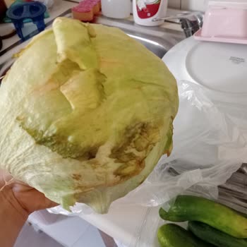 Şok Marketler Çürük Sebze Yollamışlar