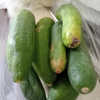 Şok Marketler Çürük Sebze Yollamışlar