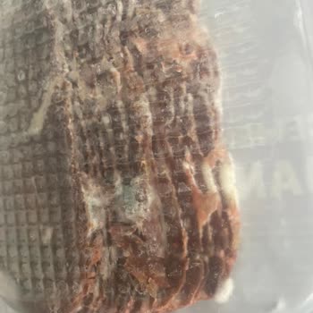 Şok Market Küflü Pastırma