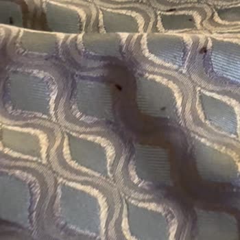 Merit Hotels Yatağı Böcek Bastı