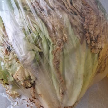 CepteŞok Market Siparişinde Eksik Ve Bozuk Ürünler