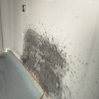 Bosch Ankastre Fırın Temizleme Şikayeti