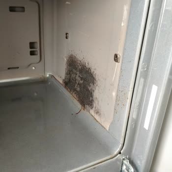 Bosch Ankastre Fırın Temizleme Şikayeti