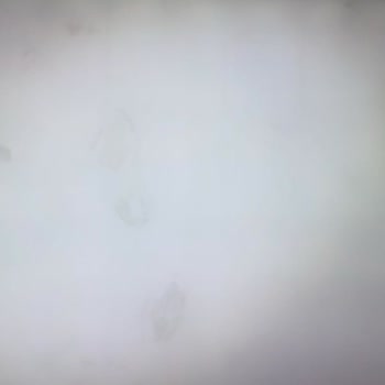 Vatan Bilgisayar Teşhir Ürün Satın Alındı Fakat Farklı Ürün Geldi