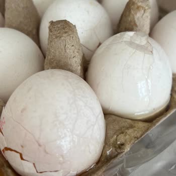 Migros Bozuk Kırık Ürün Gönderip Evimde Tutmamı İstiyor